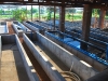 aquaponic-fish-farm-at-iris-africa-base-in-bangula