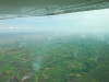 lower-shire-malawi-with-fires-below