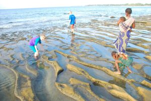 q-searching-for-sea-life