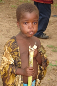 child-eats-sugar-cane