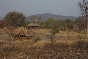 dande-village-terrain